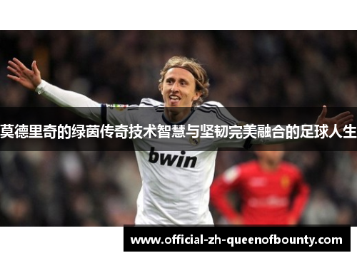 莫德里奇的绿茵传奇技术智慧与坚韧完美融合的足球人生
