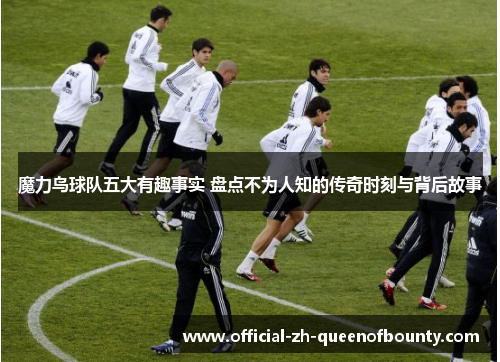 魔力鸟球队五大有趣事实 盘点不为人知的传奇时刻与背后故事